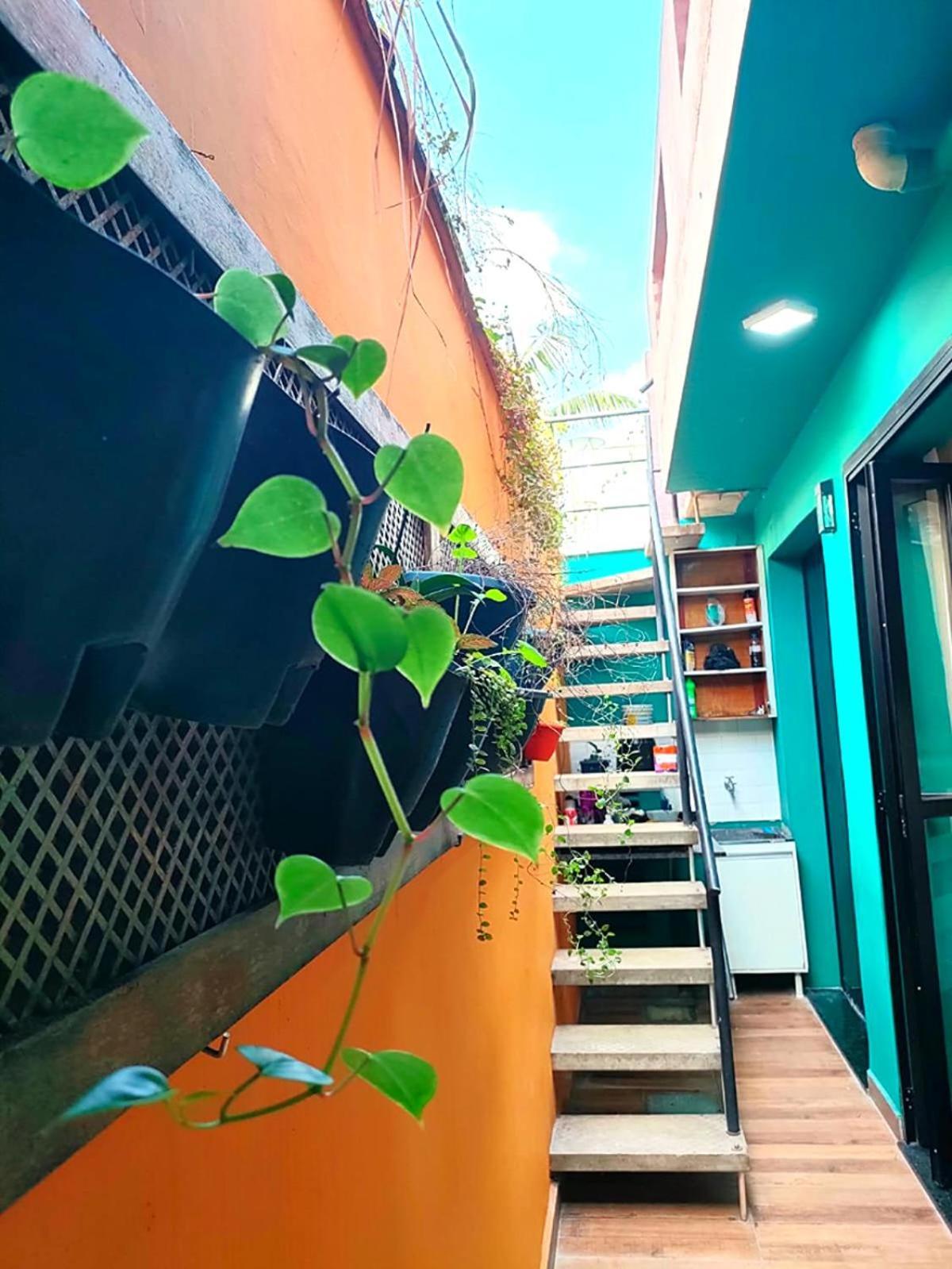 Casa 373 - Hospedaria Vila Mariana - Valores Acessiveis Сан-Пауло Экстерьер фото